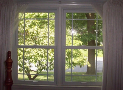 A double-hung window with white frames offers a view of lush green trees.