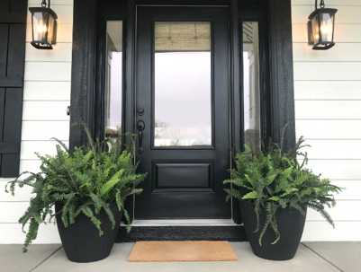 A front door is flanked by ferns in black planters.
