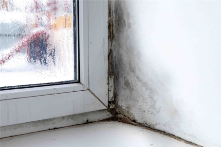 A close-up shows mold and water damage on a wall corner near a window, likely due to condensation.