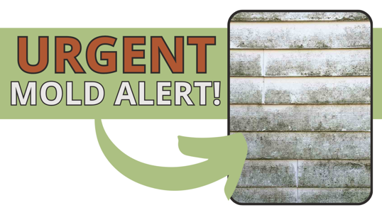 This image is a mold alert with a green box saying "URGENT MOLD ALERT!" and a green arrow pointing to an image of wall siding with mold.