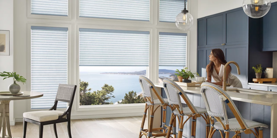 Reviewing Hunter Douglas Shades