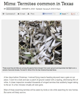 Article about termites