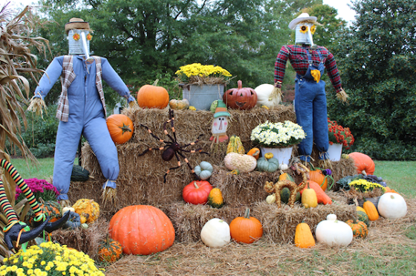 Two scarecrows stand guard amidst a festive fall display