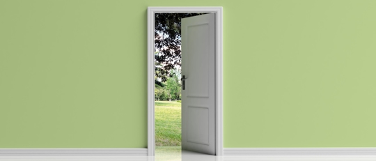A white door opening to a green yard is displayed on a website page.