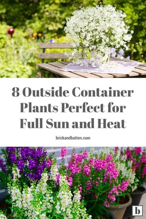 Two pictures of container plants with purple, pink, and white flowers with text in the middle that reads "8 outside container plants perfect for full sun and heat."