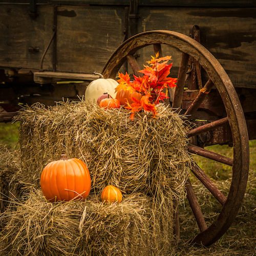 Hay bails stacked with pumpkins and fall leaves in front of a rustic wagon wheel.