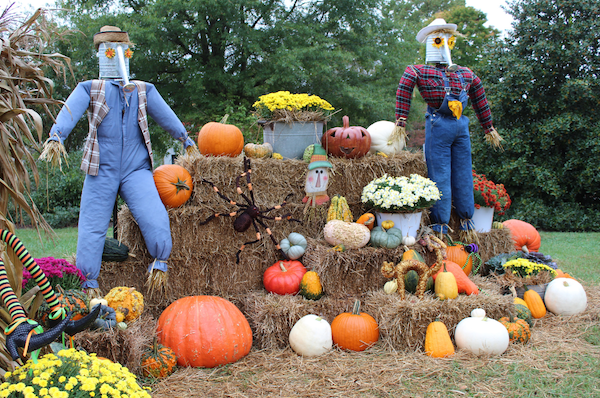 Stacked hay bails with pumpkins and halloween decorations and two scarecrows with watering cans for heads.