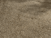 A close up of a driveway with a pebble aggregate finish where the concrete looks like it is made of small little pebbles.
