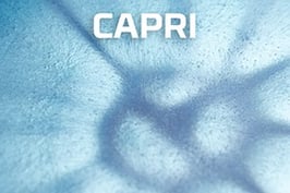 Penntek's capri metallic epoxy coating