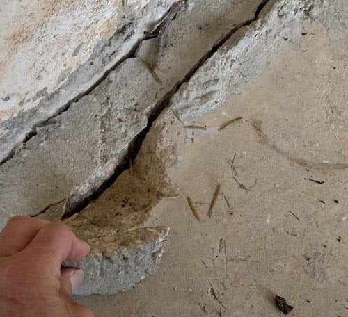 An up close of a concrete slab next to a wall with a large crack running diagonally across and a large chunk of concrete coming out of the ground with a hand holding the chunk.