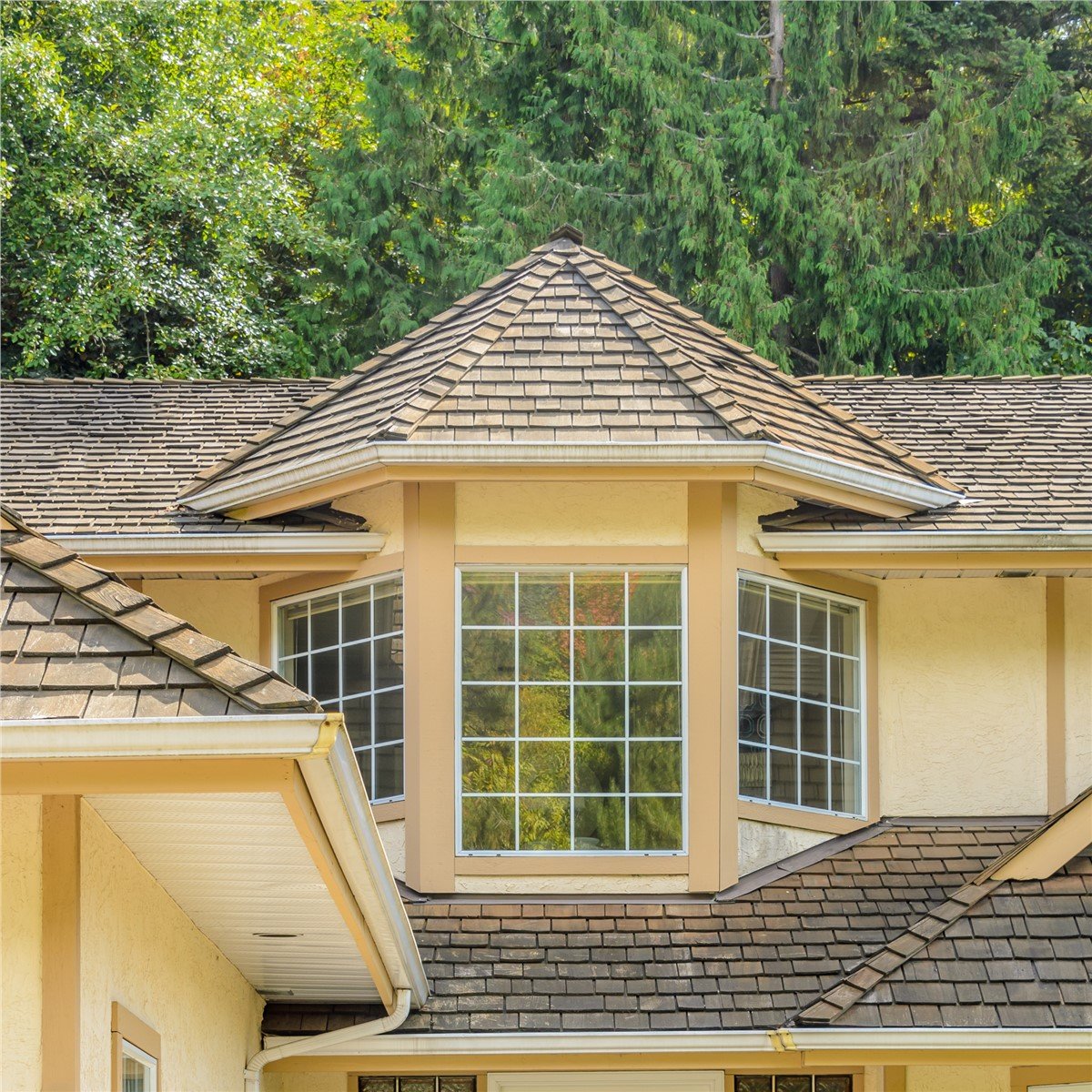 San Antonio Vinyl Windows
