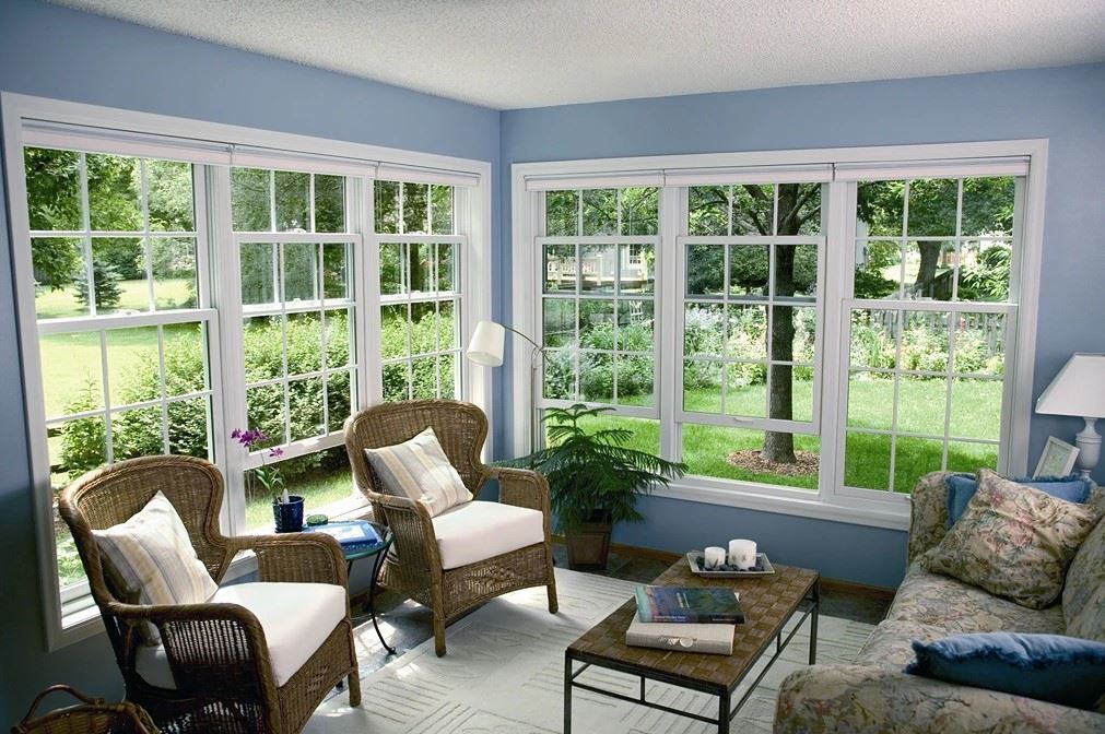 San Antonio Don Young Windows
