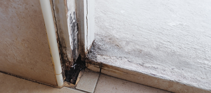 How to Inspect Your Door Frame For Damage and Do You Need a Door Replacement