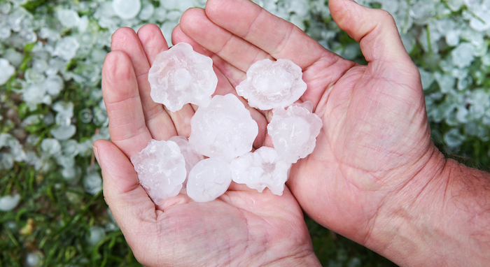 The Best Solutions For Hail Damaged Windows