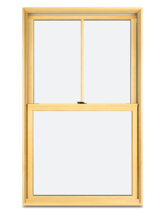 Elevate Double Hung 